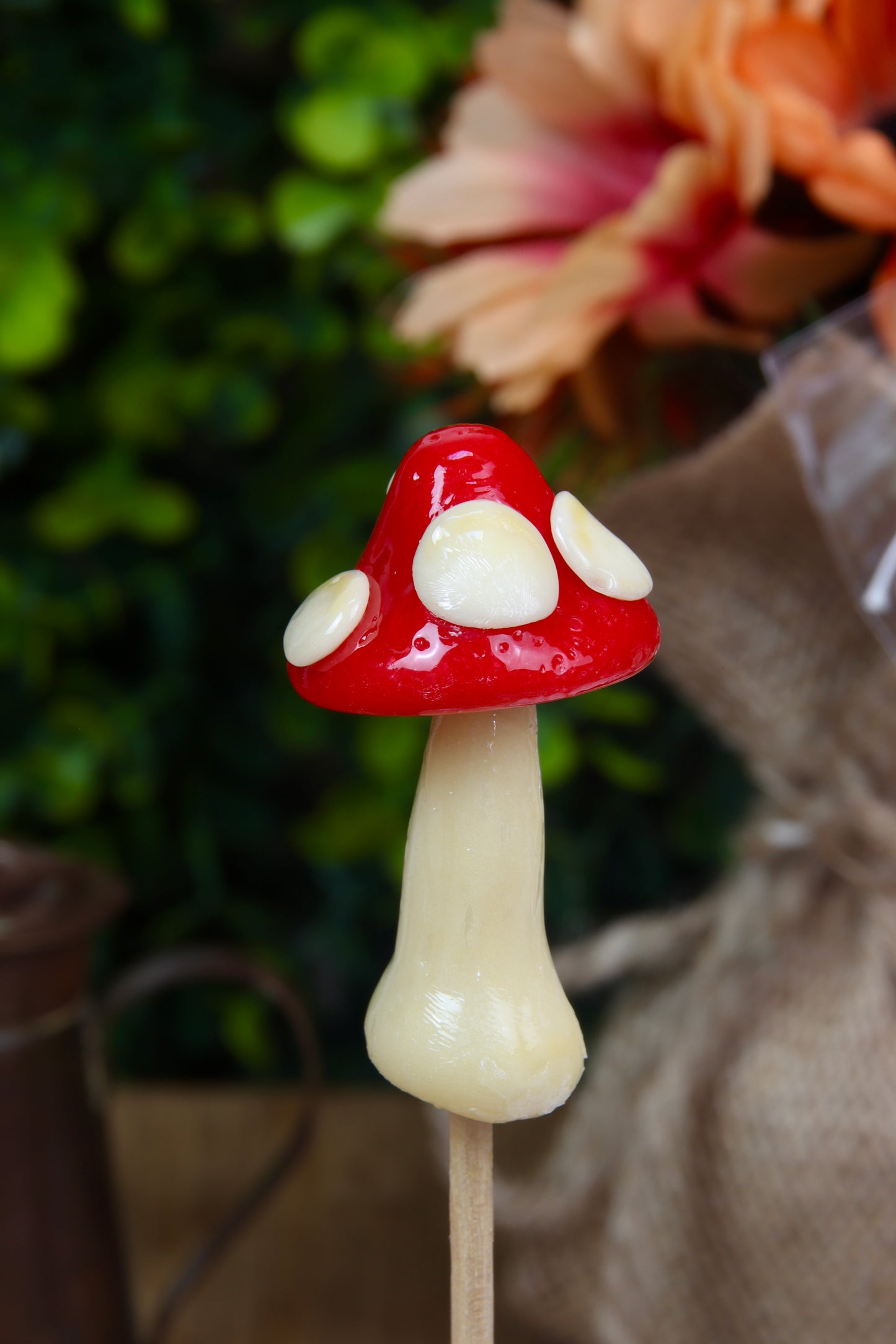 Sucette champignon