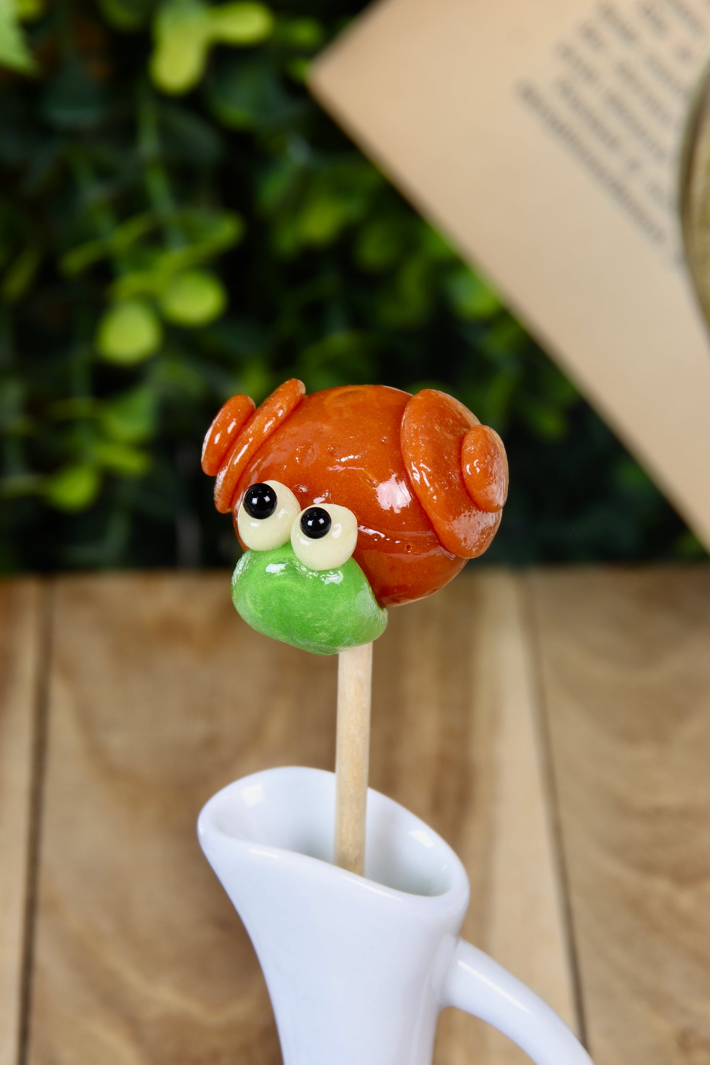 Sucette Escargot