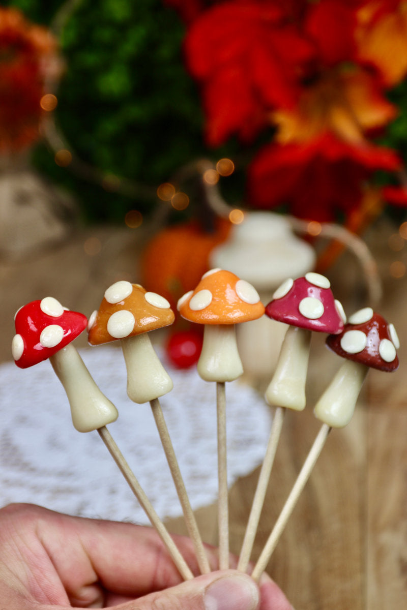 Assortiment de sucettes champignon présenté dans une ambiance automnale féérique
