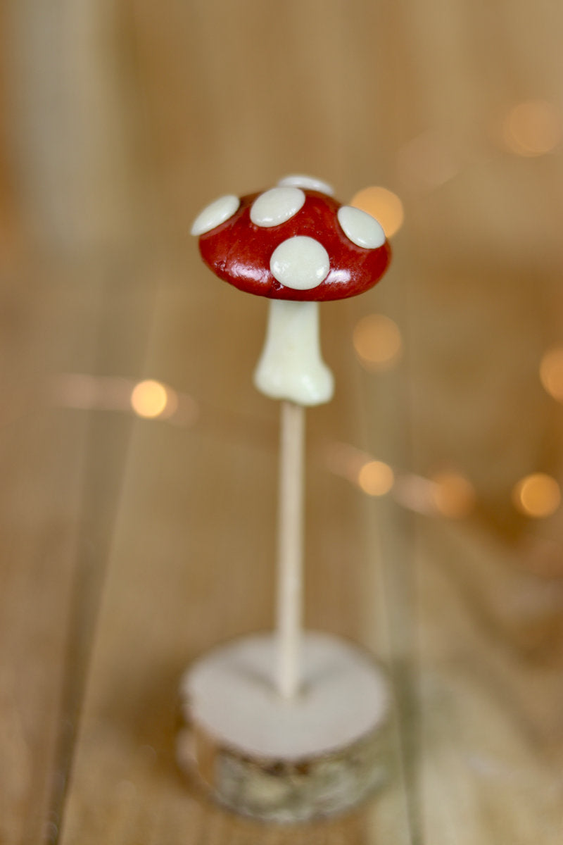 Sucette sculptée en fore de champignon au cacao et à la vanille