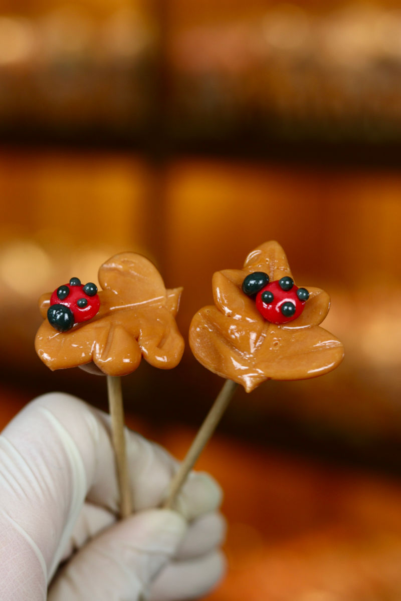Sucette Coccinelle Feuille Cola Cerise