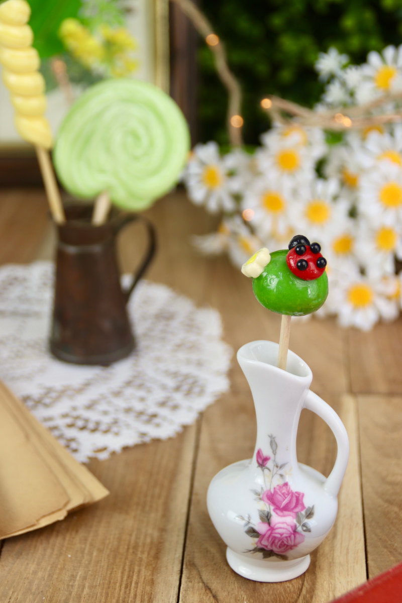Sucette pomme-framboise en forme de boule verte avec coccinelle, mise en scène dans un décor printanier fleuri et naturel.