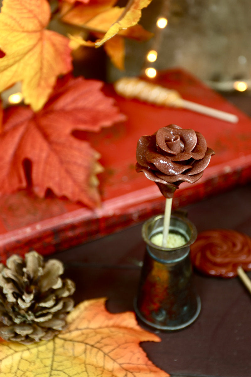 Sucette rose cacao dans une mise en scène automnale avec feuillage et fleurs séchées