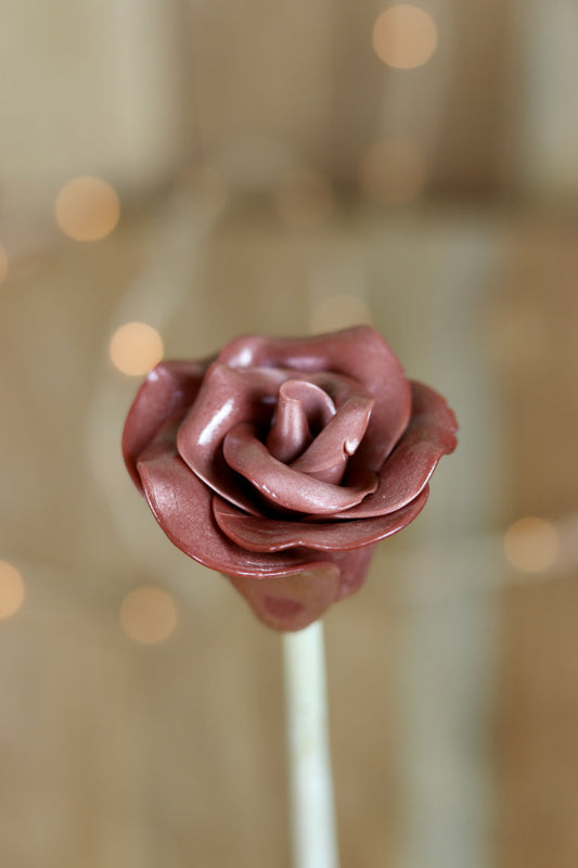 Grande Fleur Cacao (bâton 30cm)