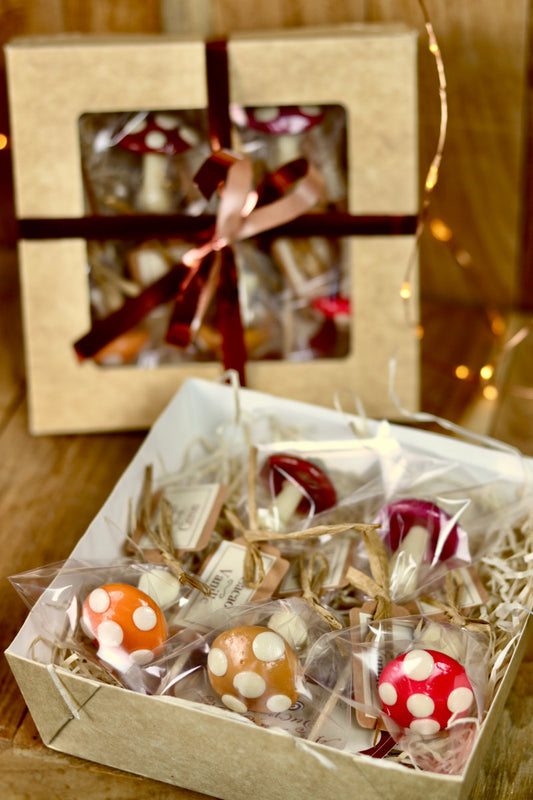 Coffret Automne 5 Sucettes Sculptées Champignons