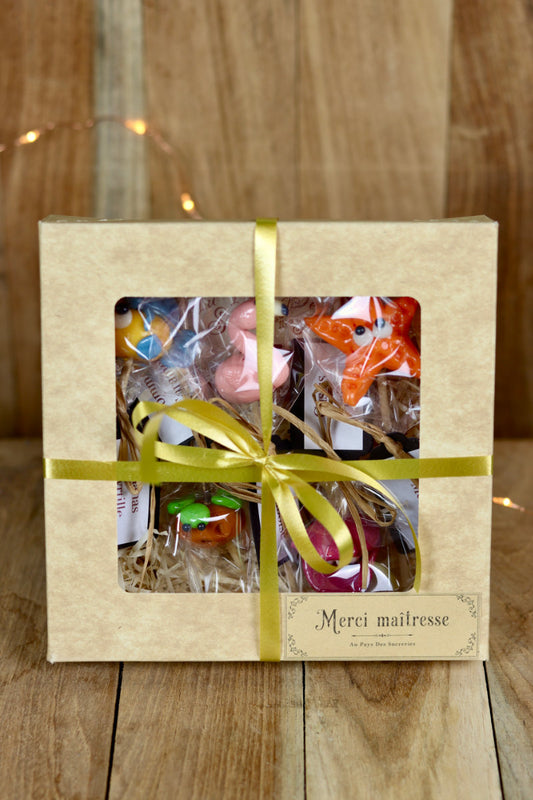 Coffret Merci Maître(sse) 5 Sucettes Sculptées