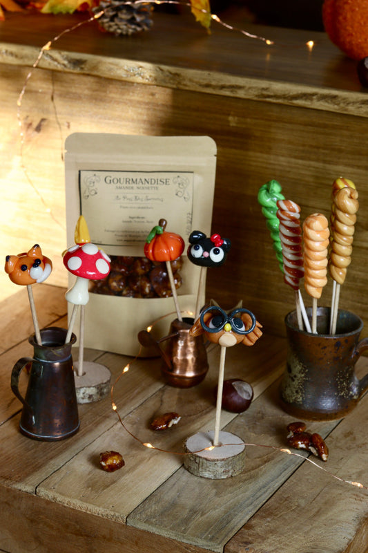 Un lot de bonbon sur le thème de l'automne. Des sucre sculptées, des sucettes torsade, des gourmandises