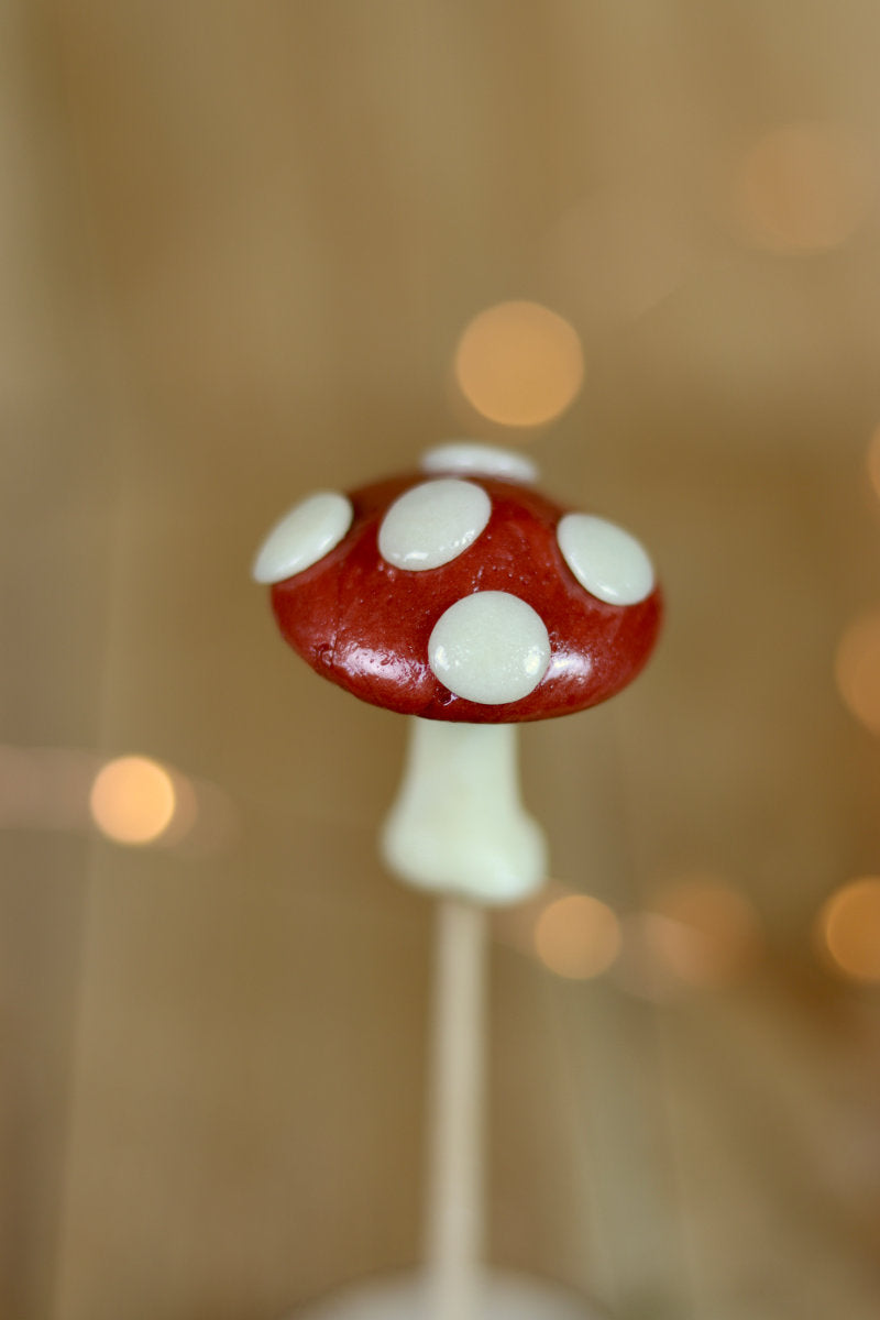 Sucette sculptée en fore de champignon au cacao et à la vanille