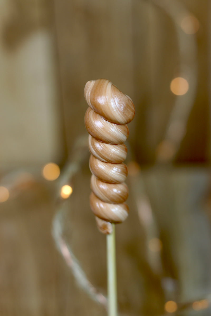 Sucette torsade spéculoos fabriquée dans notre atelier Français artisanalement