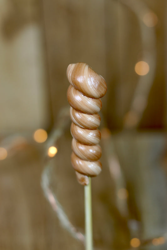 Sucette torsade spéculoos fabriquée dans notre atelier Français artisanalement