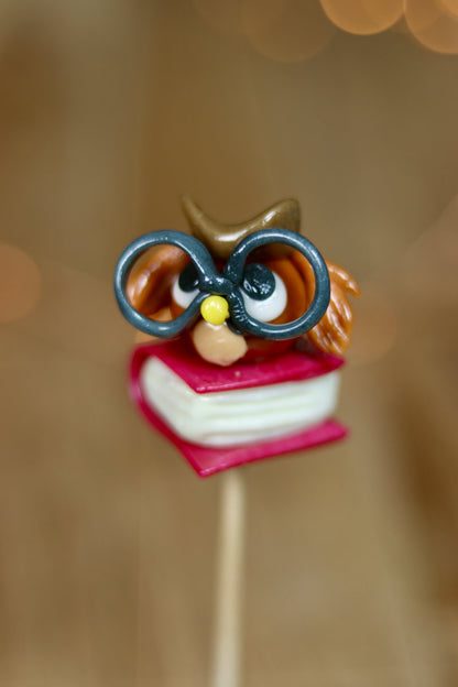 Sucette sculptée en forme de hibou avec des lunettes sur un live à la cerise et au citron