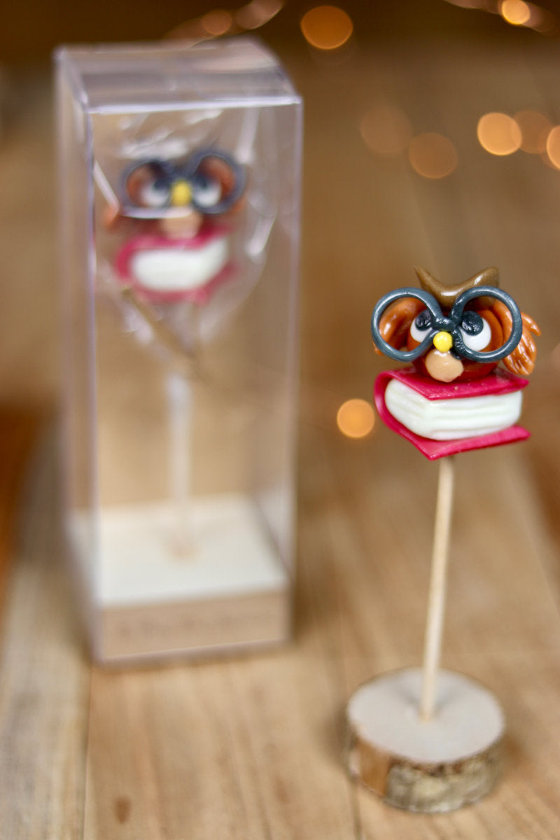 Sucette sculptée en forme de hibou avec des lunettes sur un live à la cerise et au citron
