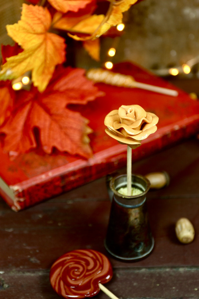 Sucette rose au caramel beurre salé dans un décor automnal naturel avec feuilles et bouquets