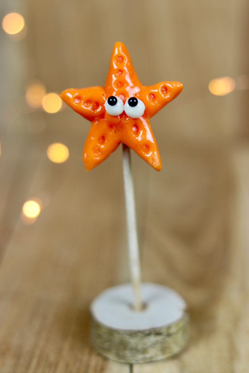 Une sucette sculptée à la main en forme d'étoile de mer au melon. 