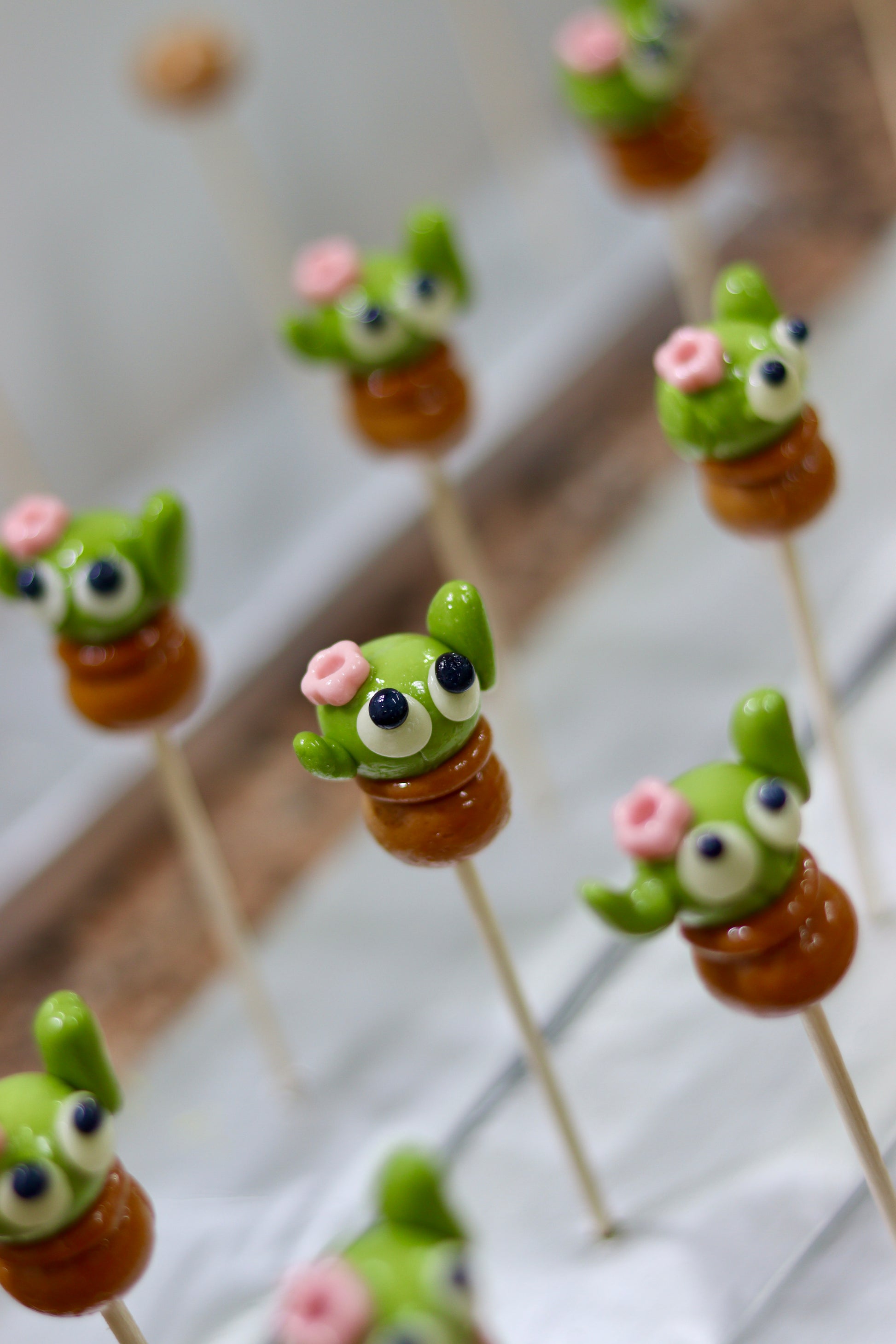 Sucette en forme de cactus dans son pot de fleur à la pomme et au caramel