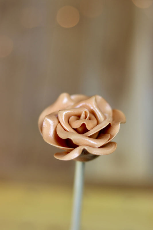 Grande fleur spéculoos (bâton 30cm)