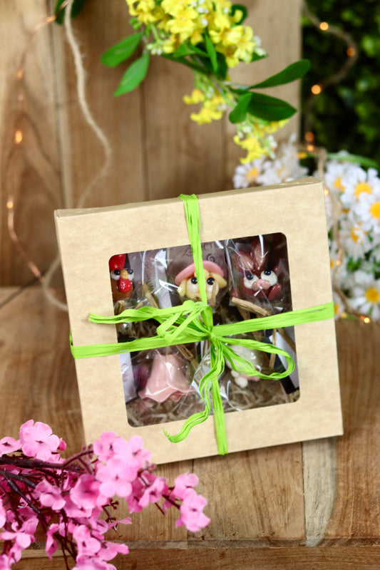 Coffret Printemps 5 Sucettes Sculptées