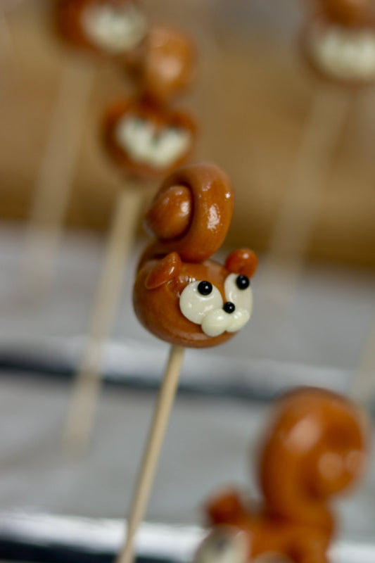 sucette sculptée en forme d'écureuil au spéculoos et à la vanille
